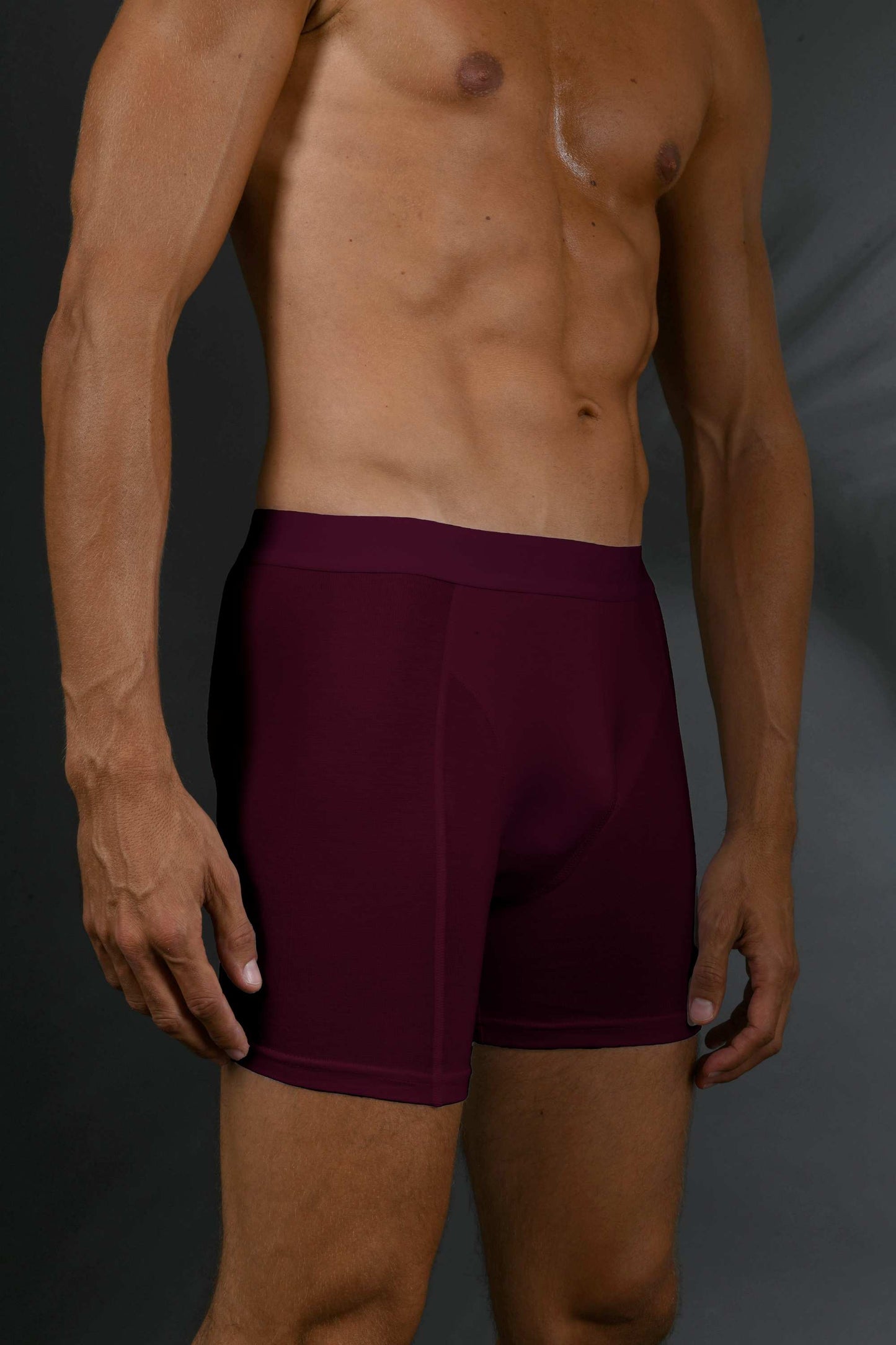 Men's Bamboo Boxershort Burgundy 5 pcs in a Box